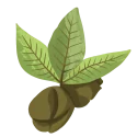leafv32