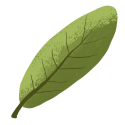 leafv33