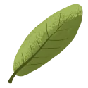 leafv33