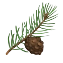 leafv38